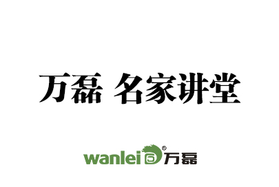 石榴视频在线观看 戈壁石（洞石效果） 施工视频